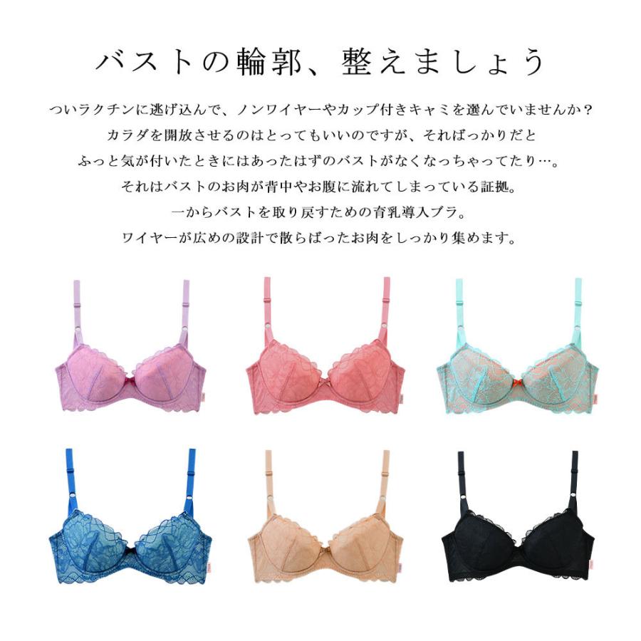 プラスアップブラ 12