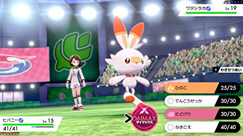 ポケットモンスター シールド 4