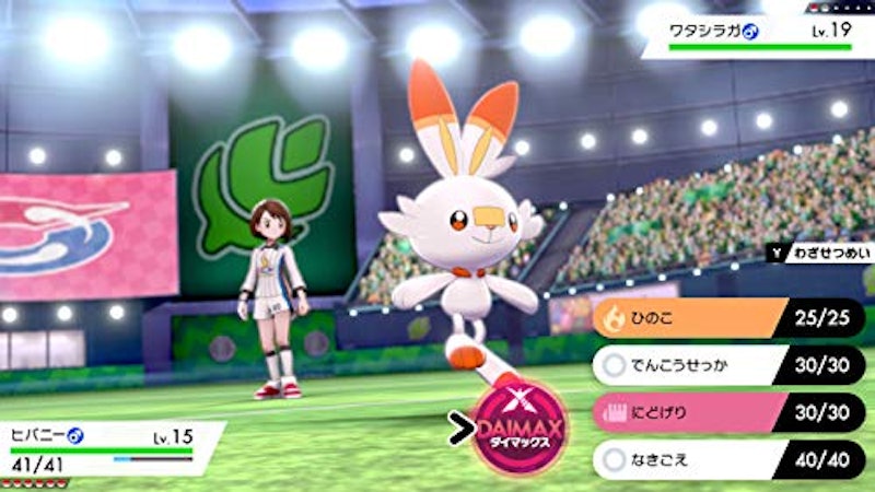 ポケットモンスター シールド 4