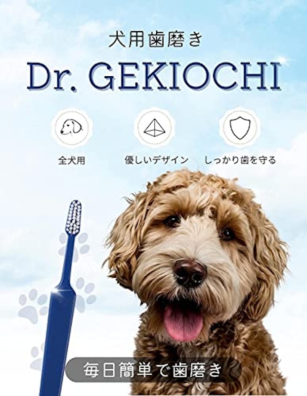ドクターゲキオチ 4