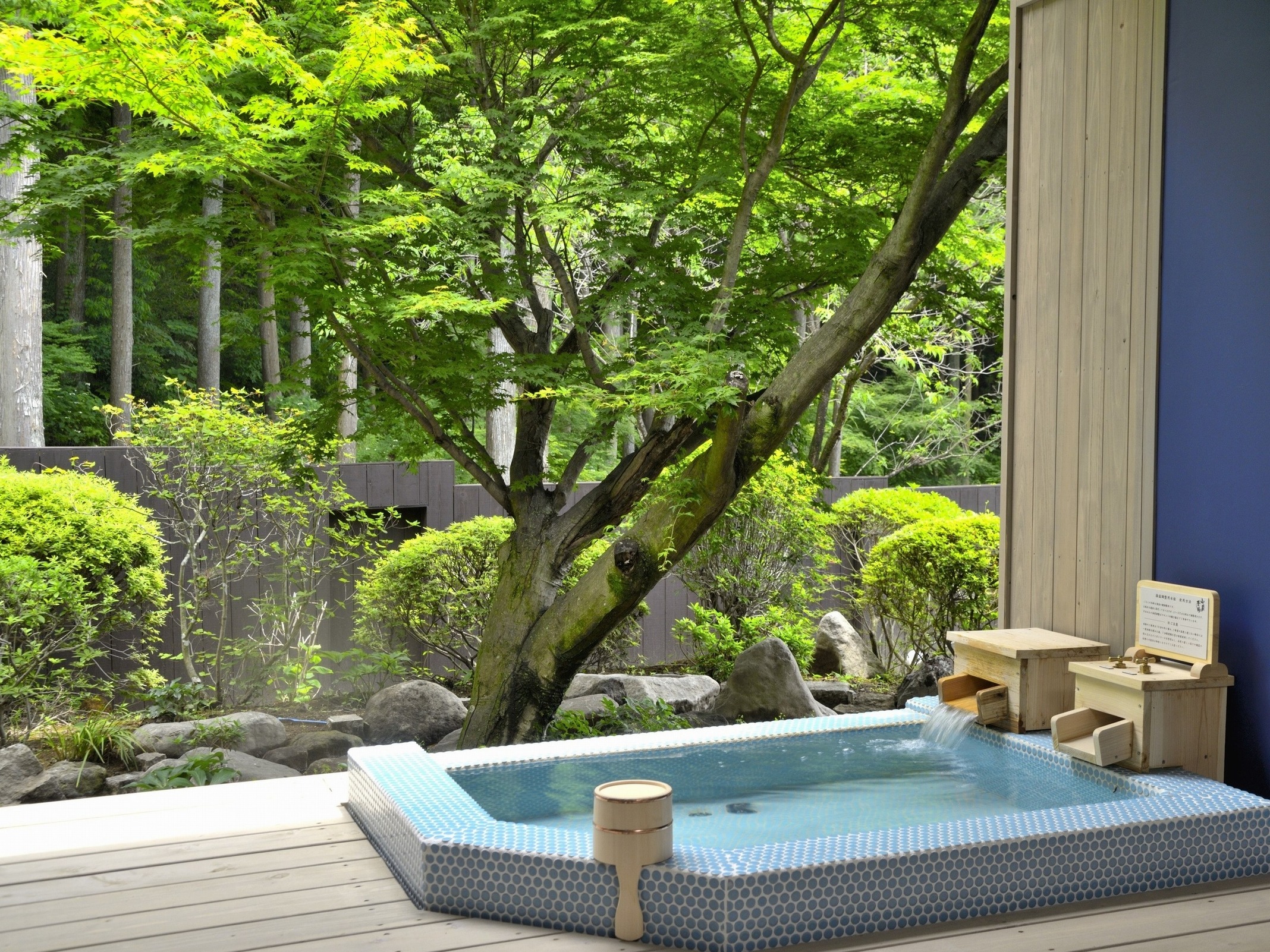 山屋蒼月 6