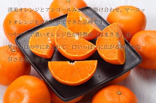 はまさき 3