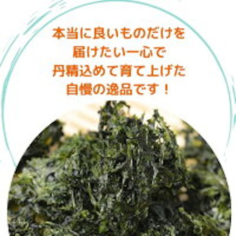 鹿児島県産 あおさ 2