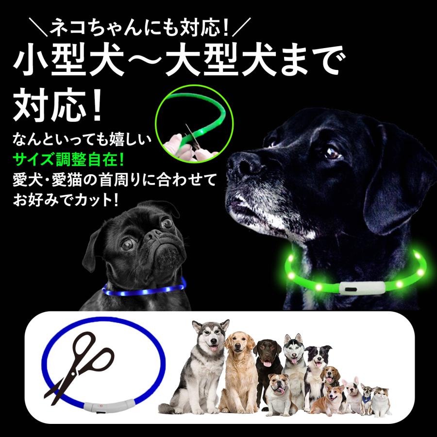 光る首輪  11