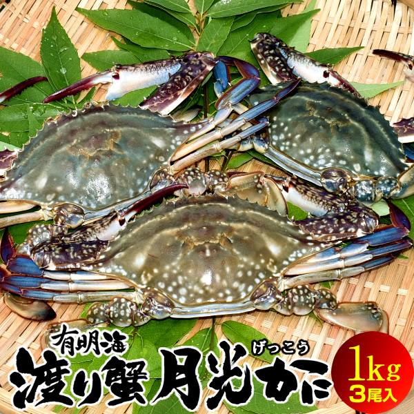 ワタリガニ 1