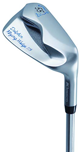 FLYING WEDGE DFW-119 1