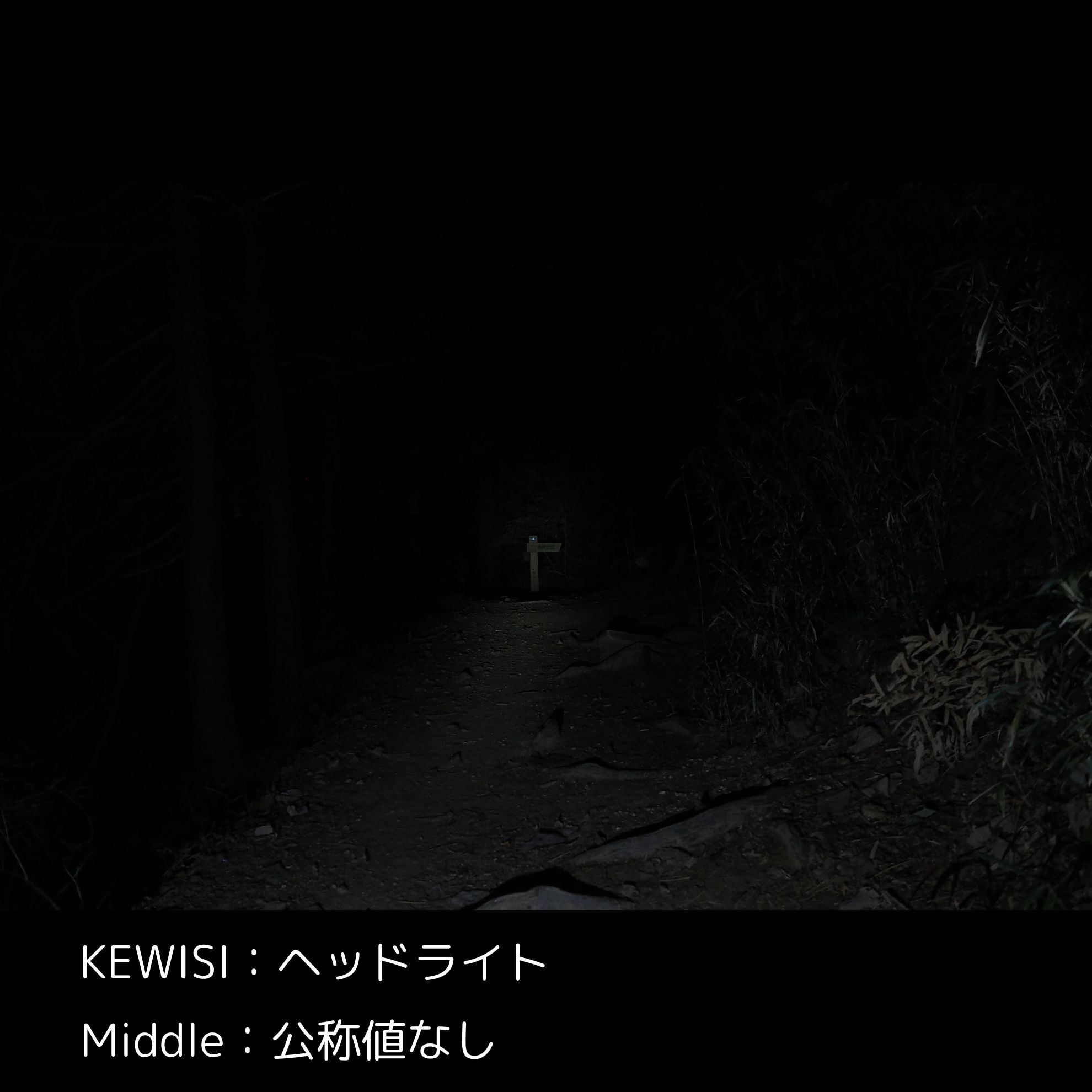 ヘッドライト 3