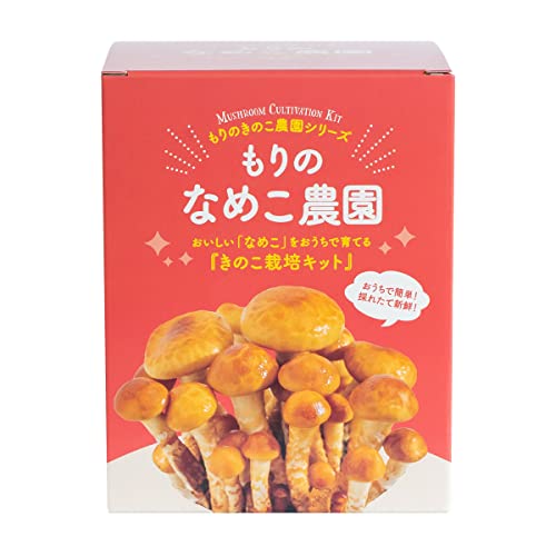 きのこ栽培キット 1