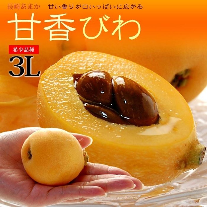 甘香びわ 1