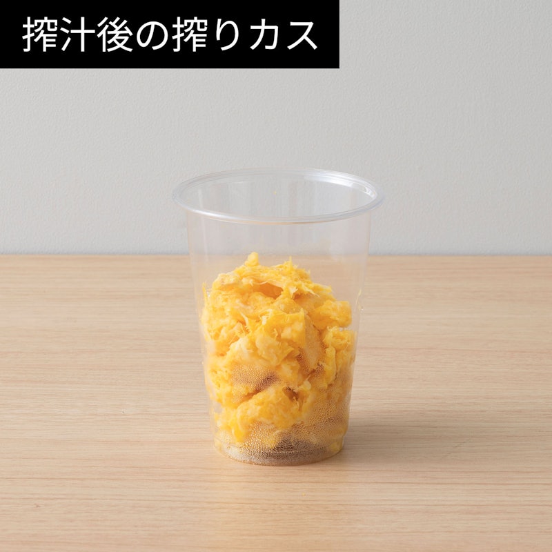 低速ジューサー 10