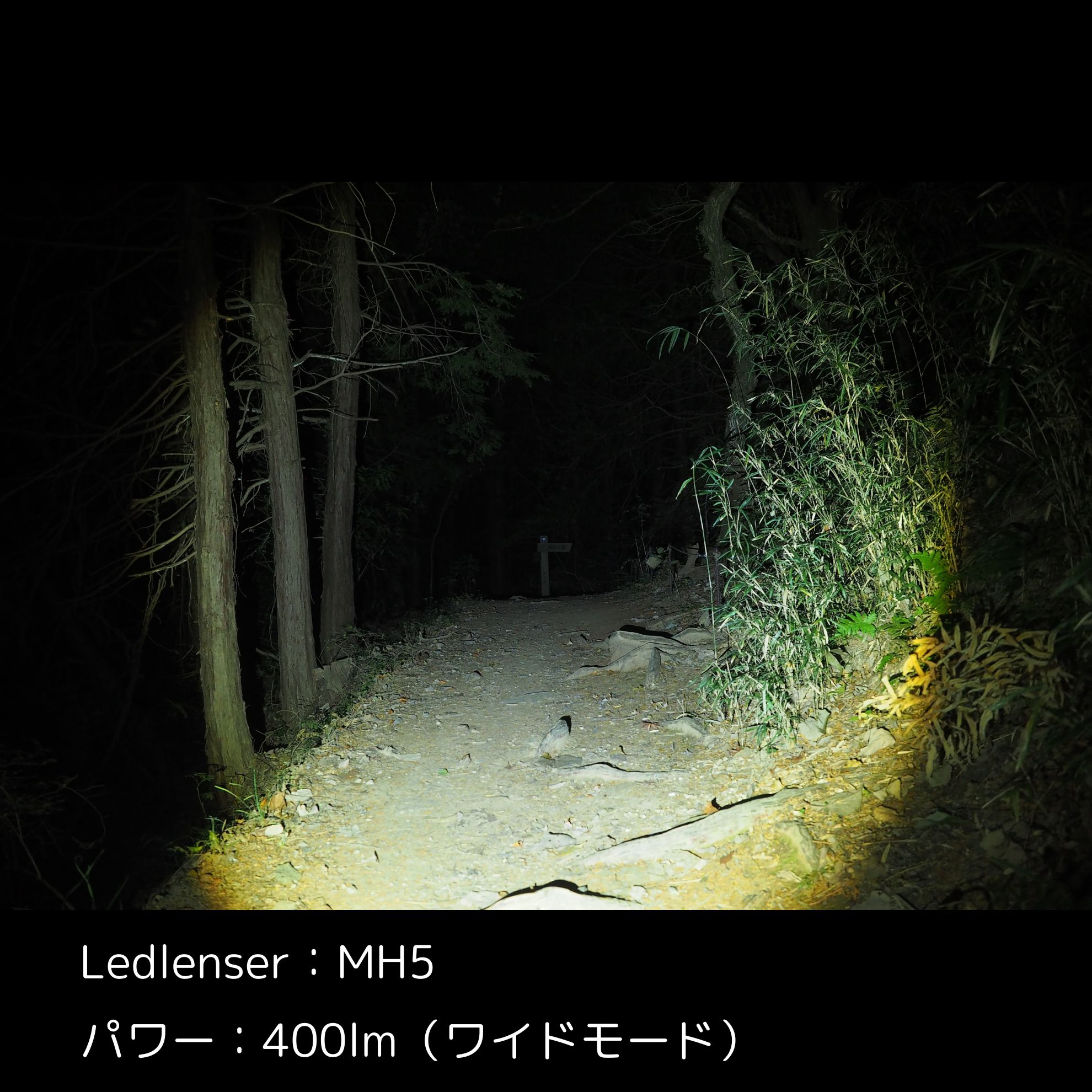 MH5  2