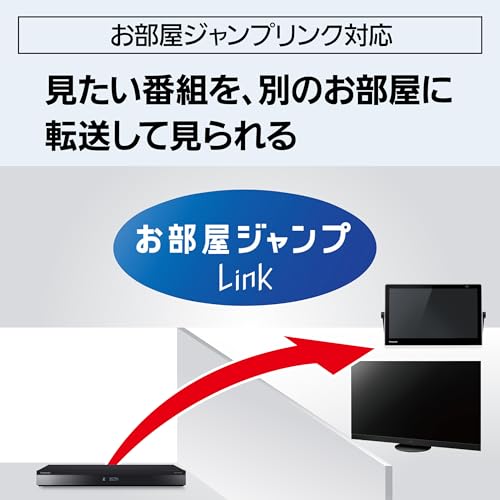 ブルーレイディスクレコーダー 10
