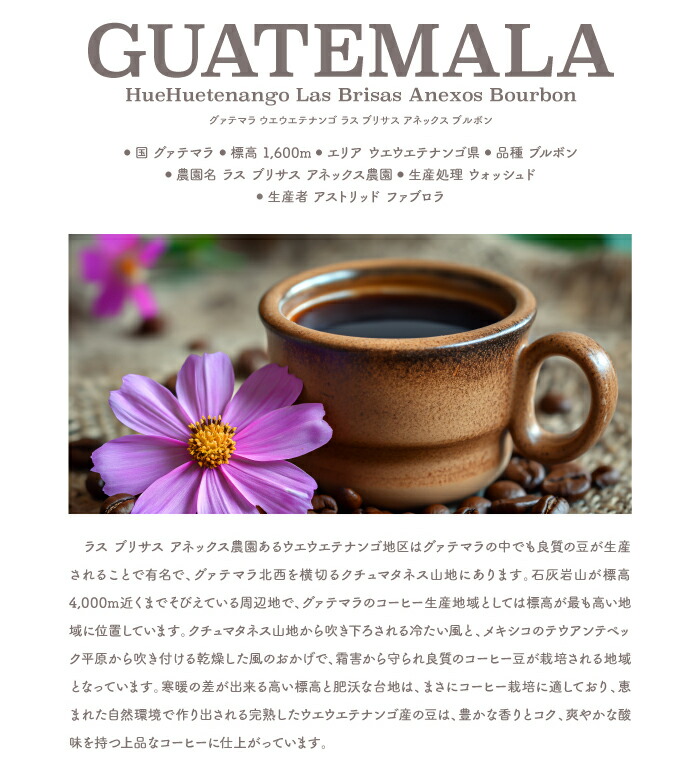定番の人気銘柄がたっぷり入ったスペシャルティコーヒー4銘柄 特選ギフト 3
