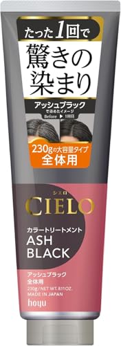 カラートリートメント 全体用 アッシュブラック 1