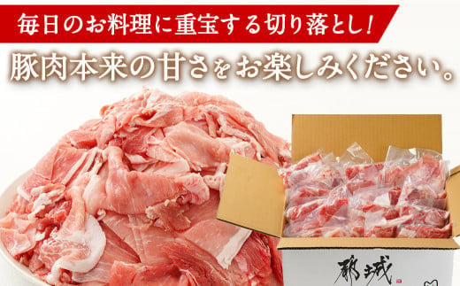 国産豚肉切り落とし 4kgセット 5