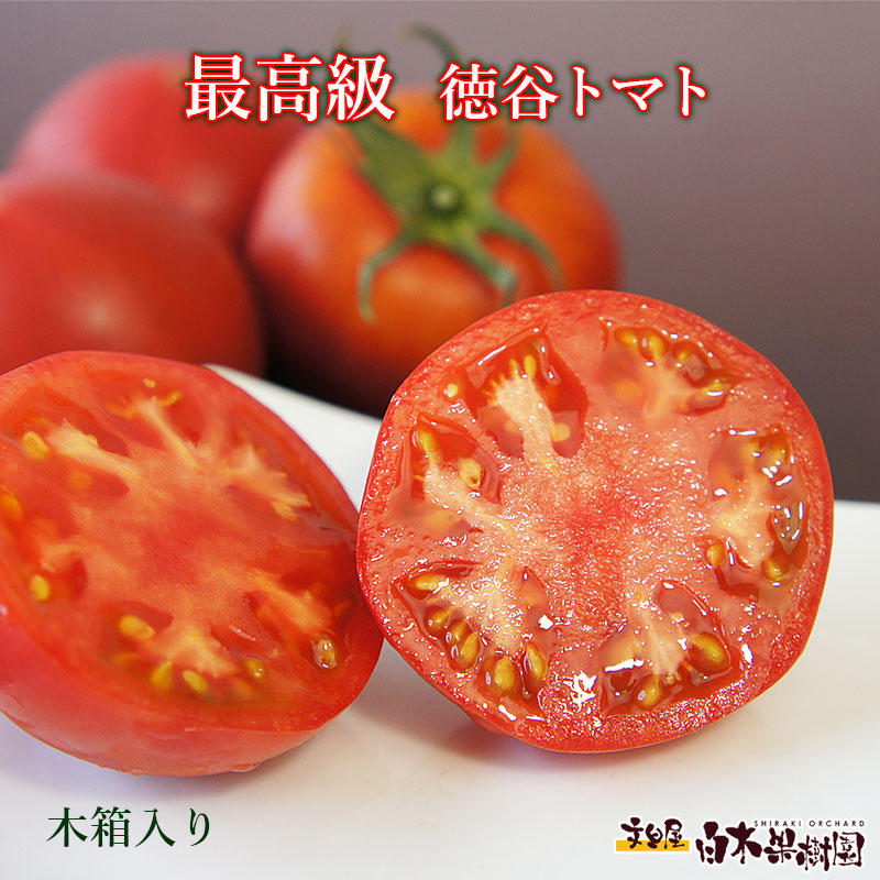 とくたにトマト 1