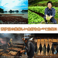 西伊豆のところてん  7