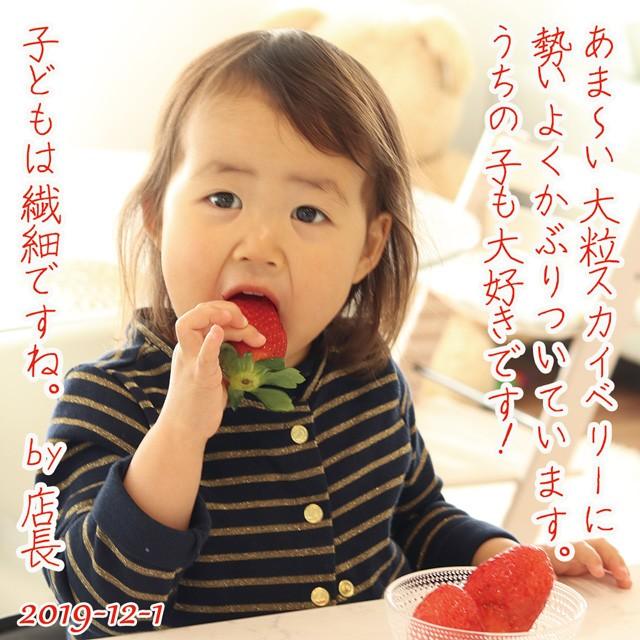 スカイベリー 5