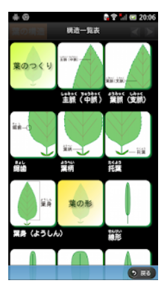 22年 植物図鑑アプリのおすすめ人気ランキング選 Mybest