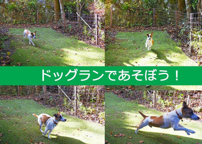 ヴィラ リベルテ箱根強羅 5