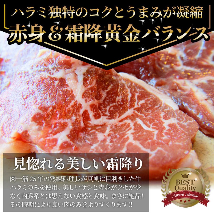 人気海外一番 肉 お歳暮 ギフト 2021 味付特選 上ハラミ サガリ 400g 200g×2袋 注文時にカットし味付け 送料無料  materialworldblog.com