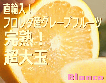 特選グレープフルーツ 1