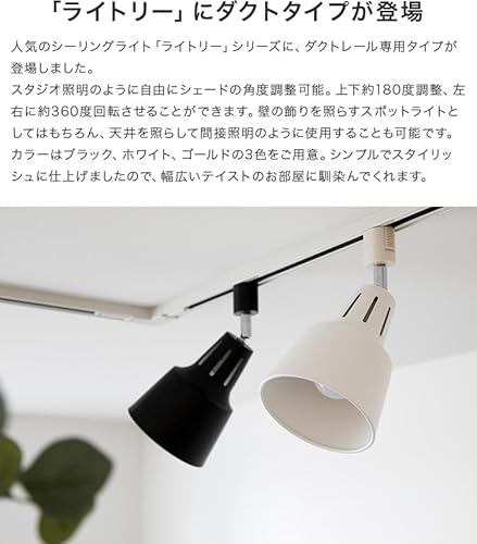 シーリングライト 2