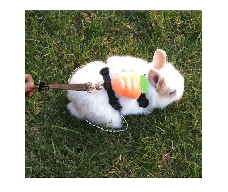 小動物用ハーネス 6