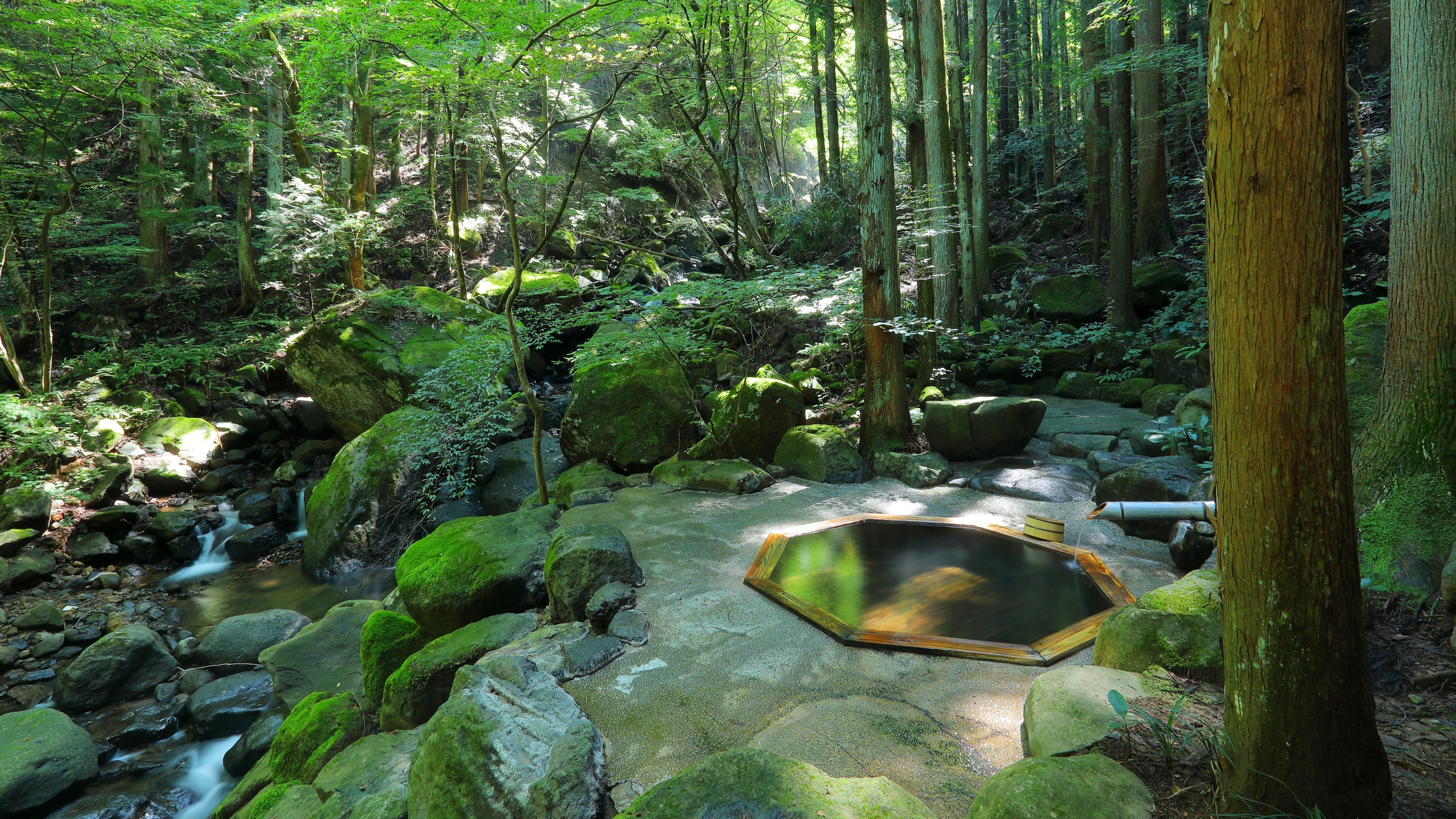 土湯別邸 里の湯 5