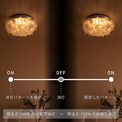 シーリングライト 5