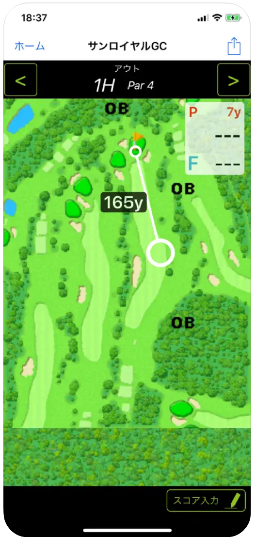 EAGLE VISION PRO 2