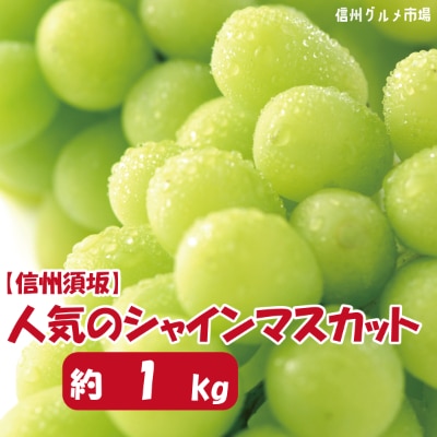 さとふるのふるさと納税返礼品のおすすめ人気ランキング 5