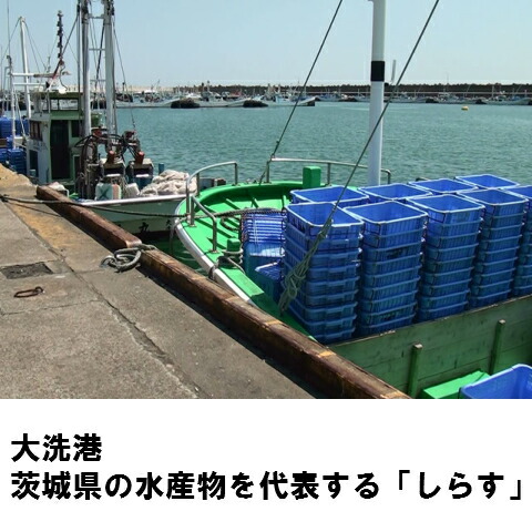釜揚げしらす 3