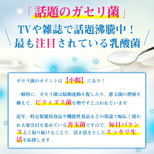 ガセリ菌＆コンブチャ 3