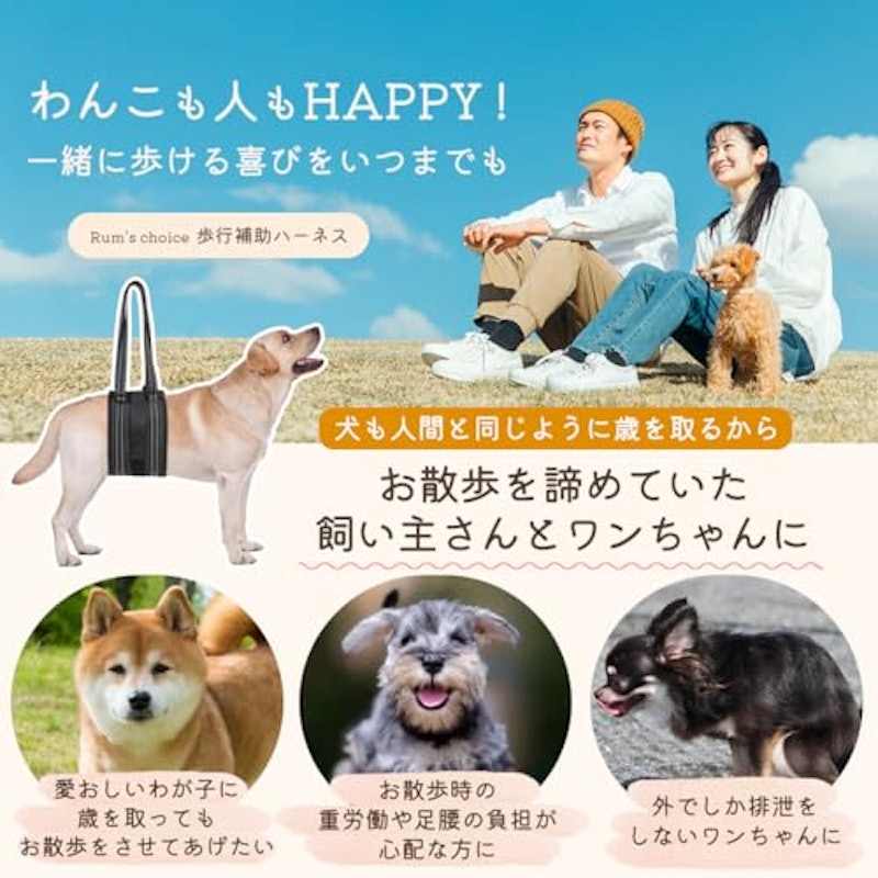 歩行補助ハーネス 2
