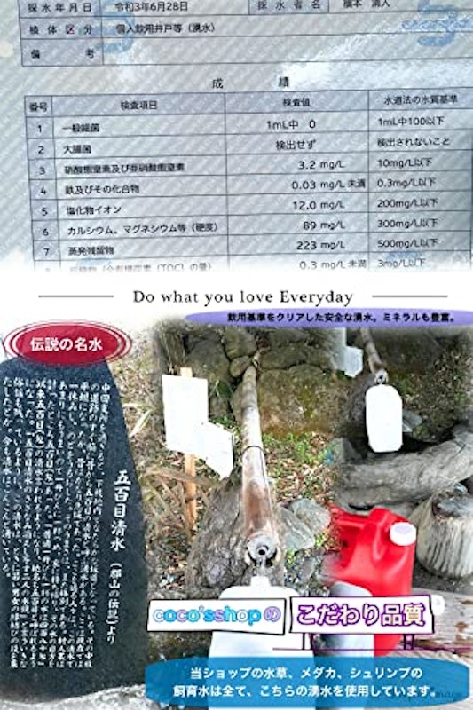 ウィローモス 4