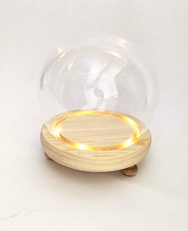 ガラスドーム 花器 LEDライト付 1