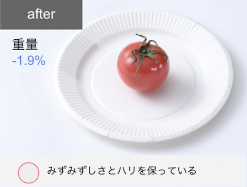 プラズマクラスター冷蔵庫 20