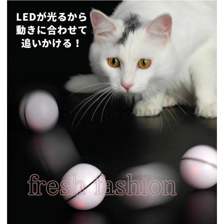 21年 犬用留守番おもちゃのおすすめ人気ランキング10選 Mybest