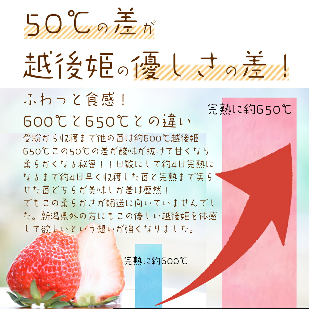 雪国完熟いちご越後姫桃薫食べ比べセット 5