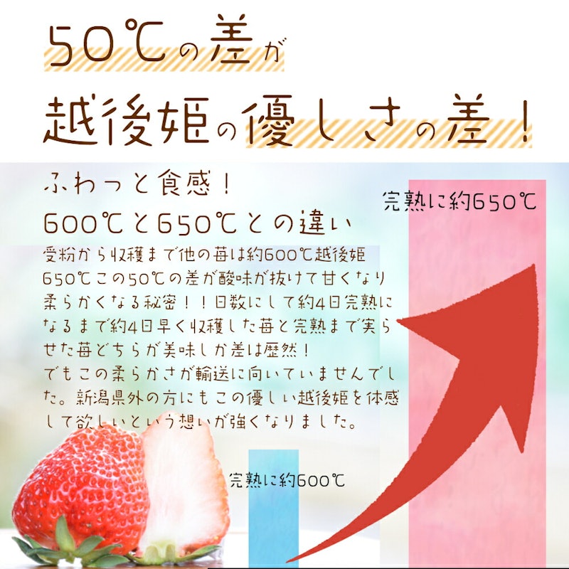 雪国完熟いちご越後姫桃薫食べ比べセット 5