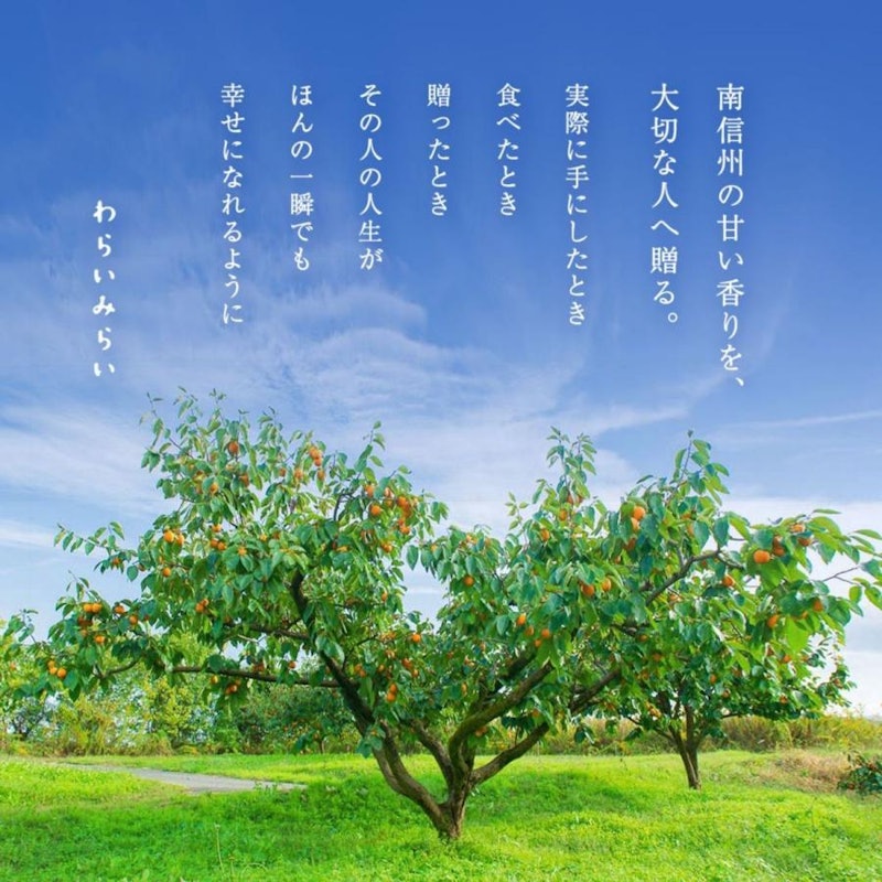 市田柿 5