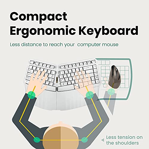 PERIBOARD-613 2