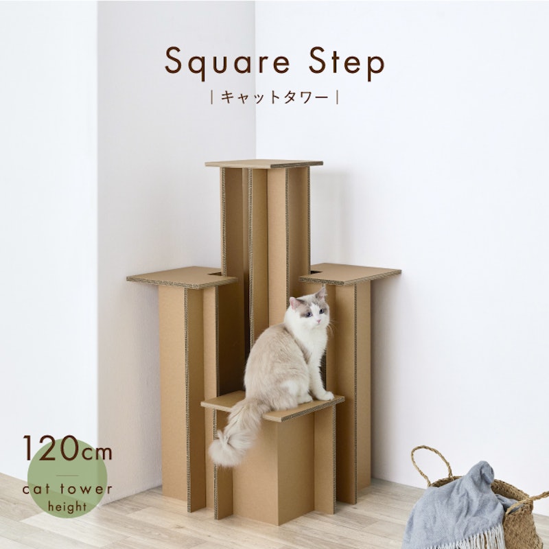 Square Step 1