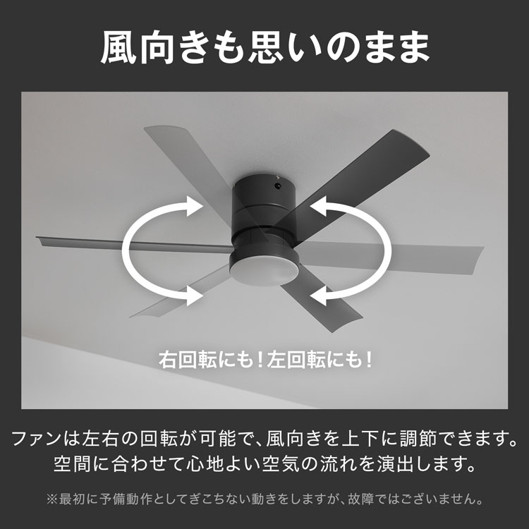 シーリングファンライト 5