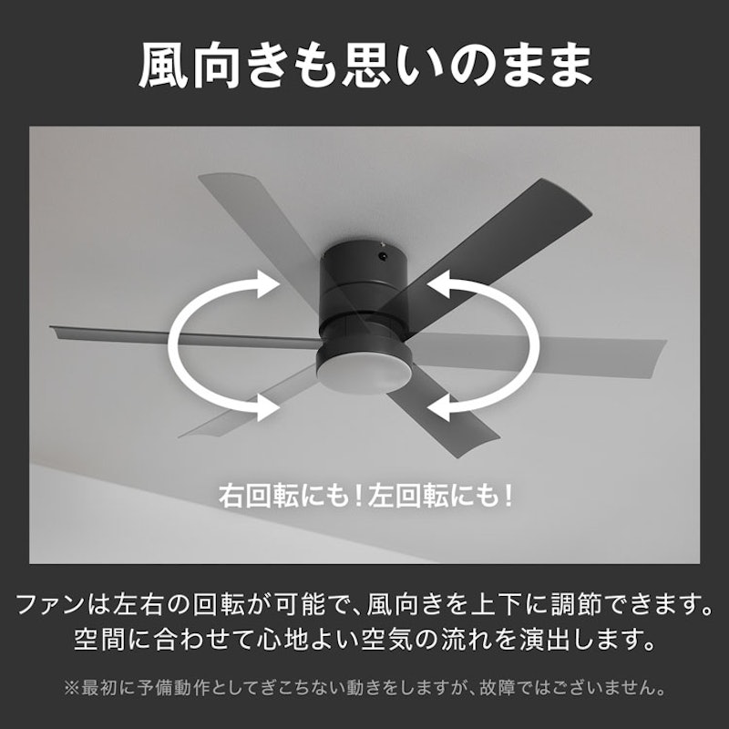 シーリングファンライト 5