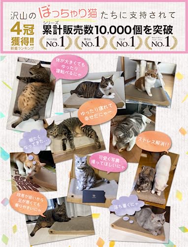 爪研ぎベッド 3