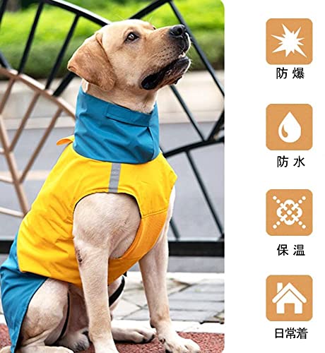 犬用レインコート 3