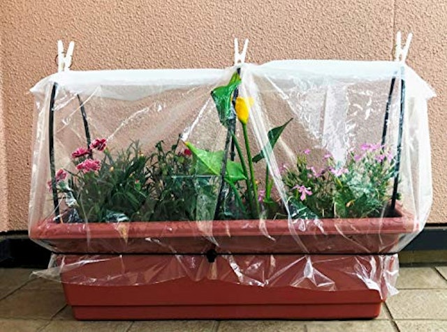 プランター菜園用防虫ネットのおすすめ人気ランキング8選 Mybest プランター菜園用防虫ネットのおすすめ人気ランキング8選 Mybest