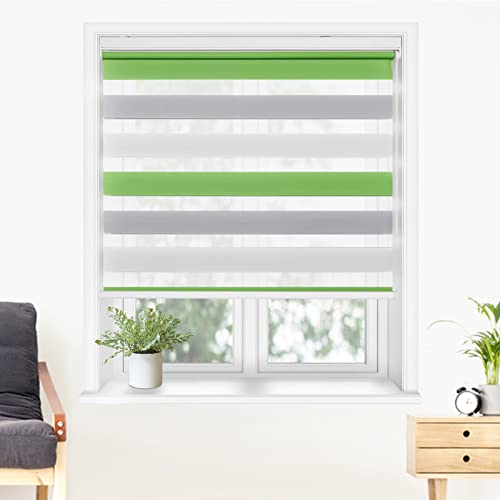 調光ロールスクリーンのおすすめ人気ランキング【2026年】 | マイベスト